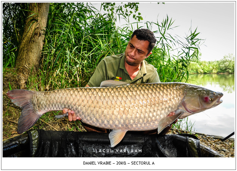 Daniel Vrabie - 20kg, Sectorul A.jpg