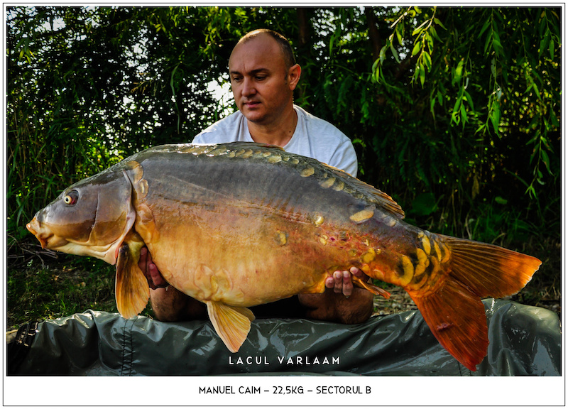 Manuel Caim - 22,5kg, Sectorul B.jpg