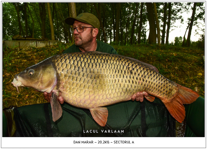 Dan Marar - 20,2kg, Sectorul A.jpg