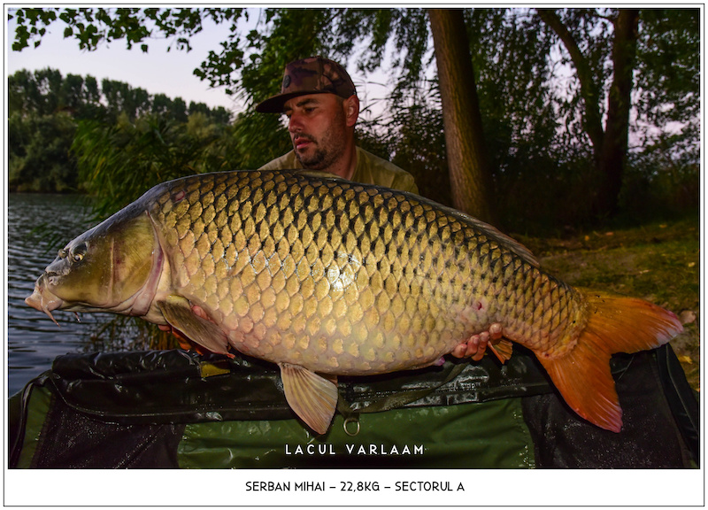 Serban Mihai - 22,8kg, Sectorul A.jpg