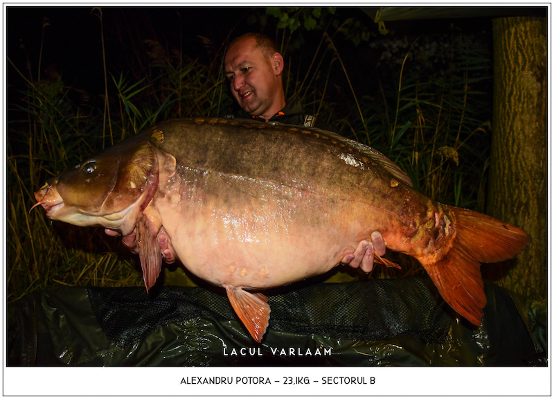 Alexandru Potora - 23,1kg, Sectorul B.jpg