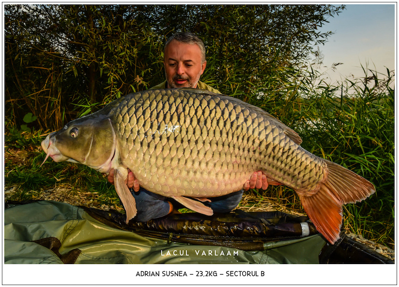 Adrian Susnea - 23,2kg, Sectorul B.jpg