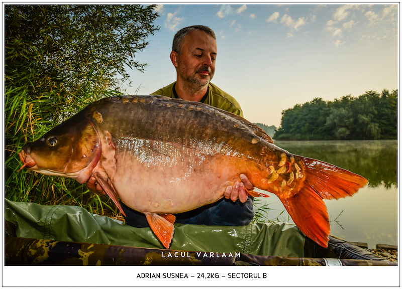 Adrian Susnea - 24,2kg, Sectorul B.jpg