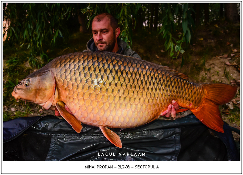 Mihai Prodan - 21,2kg, Sectorul A.jpg