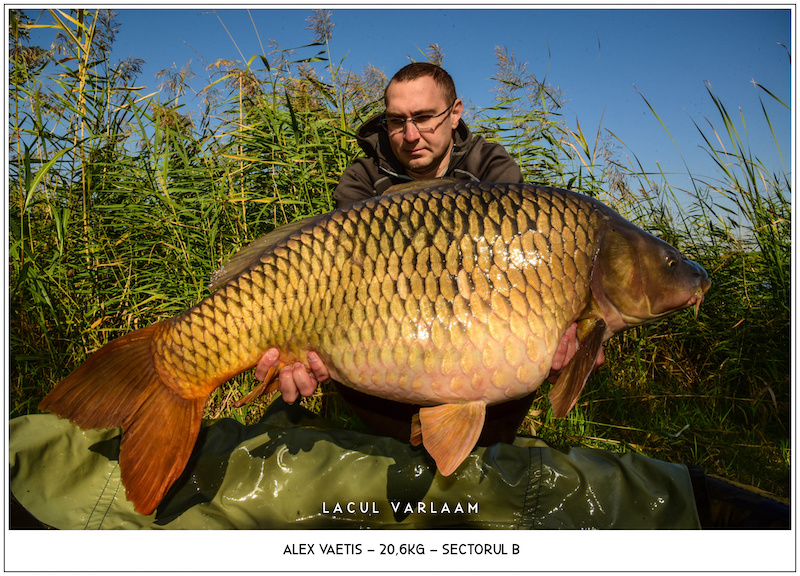 Alex Vaetis - 20,6kg, Sectorul B.jpg