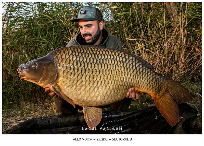 Alex Voica - 23,2kg, Sectorul B.jpg