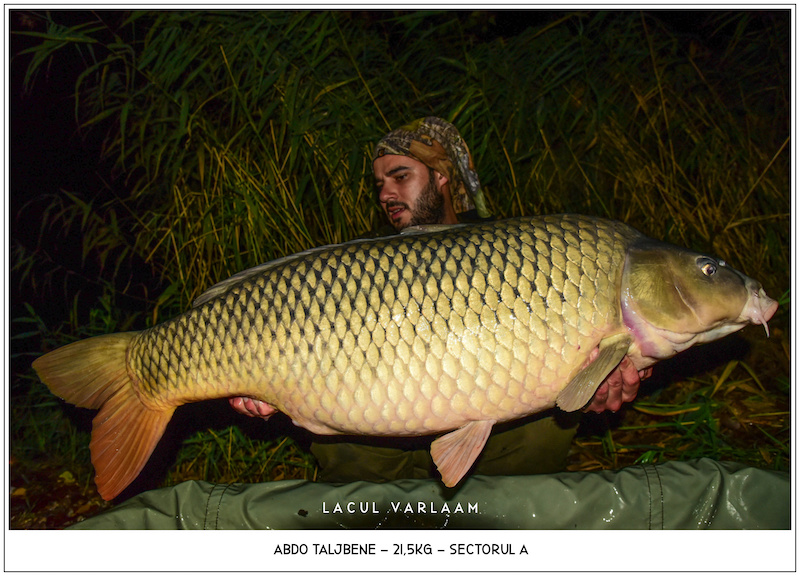 Abdo Taljbene - 21,5kg, Sectorul A.jpg