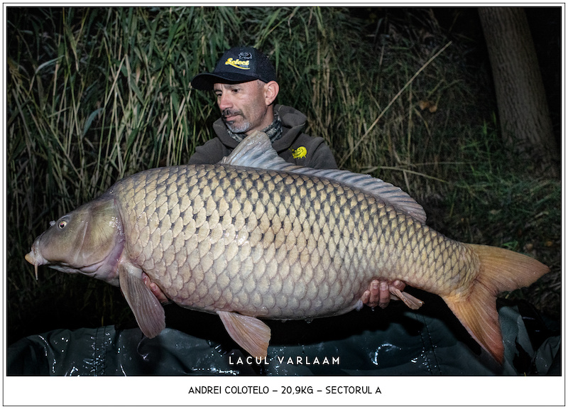 Andrei Colotelo - 20,9kg, Sectorul A.jpg