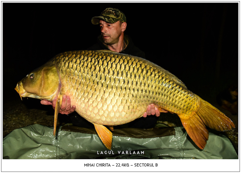 Mihai Chirita - 22,4kg, Sectorul B.jpg