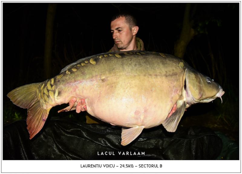 Laurentiu Voicu - 24,5kg, Sectorul B.jpg