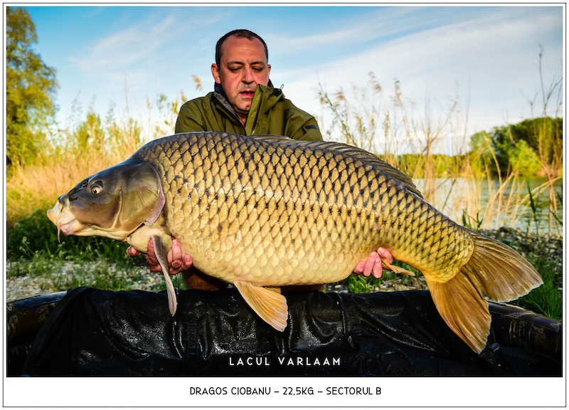 Dragos Ciobanu - 22,5kg, Sectorul B.jpg