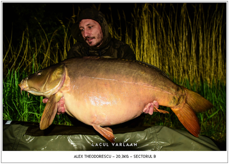 Alex Theodorescu - 20,3kg, Sectorul B.jpg