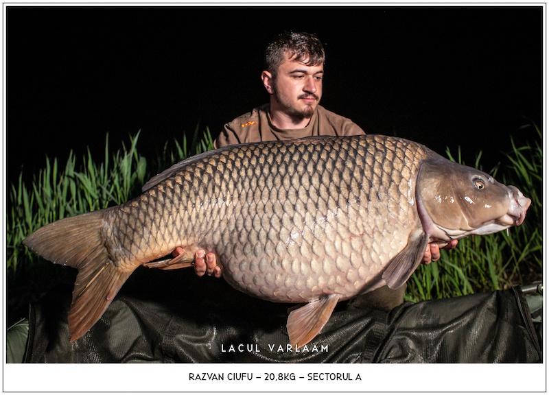 Razvan Ciufu - 20,8kg, Sectorul A.jpg