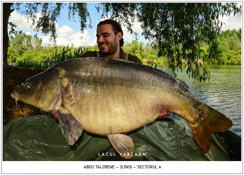 Abdo Taljbene - 21,6kg, Sectorul A.jpg