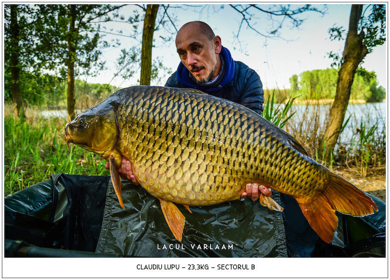 Claudiu Lupu - 23,3kg, Sectorul B.jpg