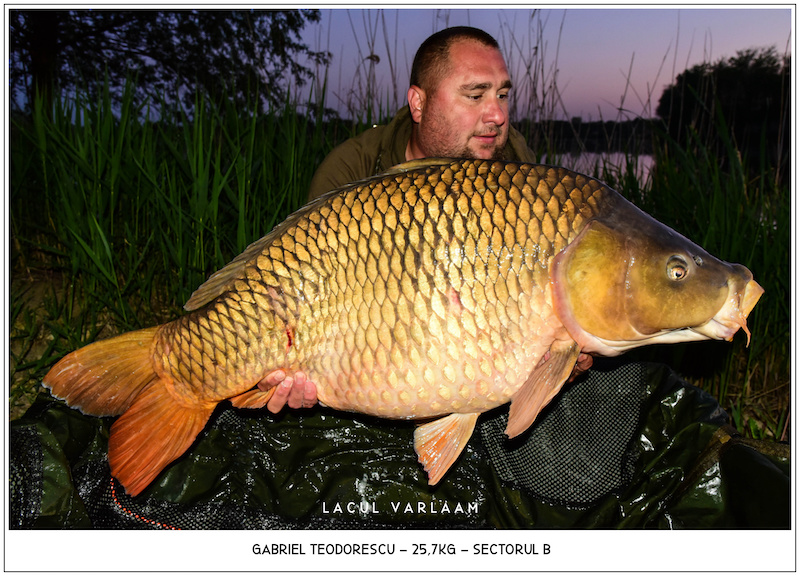 Gabriel Teodorescu - 25,7kg, Sectorul B.jpg