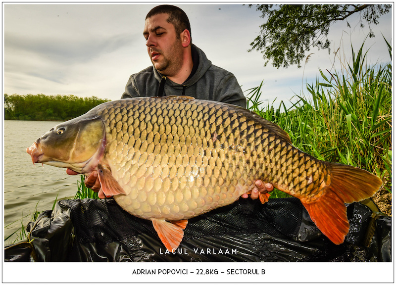 Adrian Popovici - 22,8kg, Sectorul B.jpg