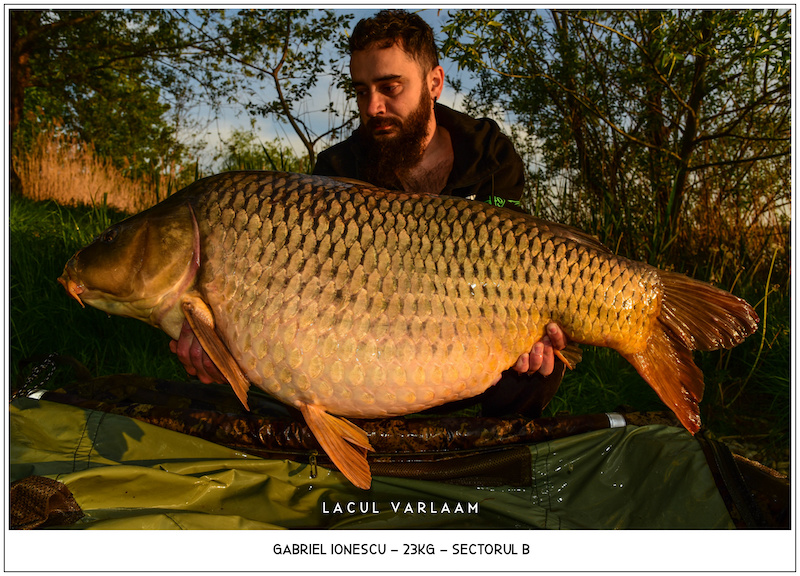 Gabriel Ionescu - 23kg, Sectorul B.jpg