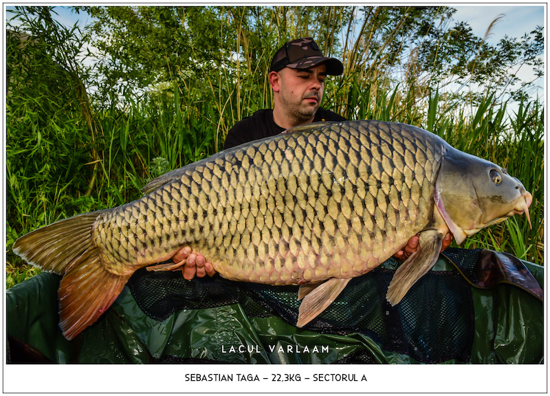 Sebastian Taga - 22,3kg, Sectorul B.jpg