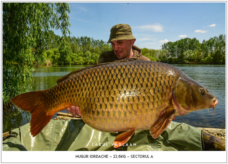 Mugur Iordache - 22,6kg, Sectorul A.jpg