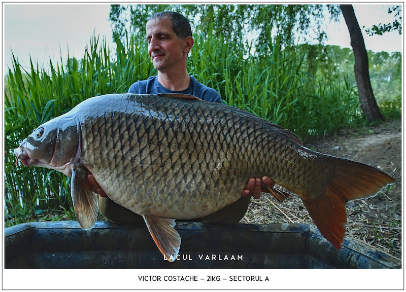 Victor Costache - 21kg, Sectorul A.jpg
