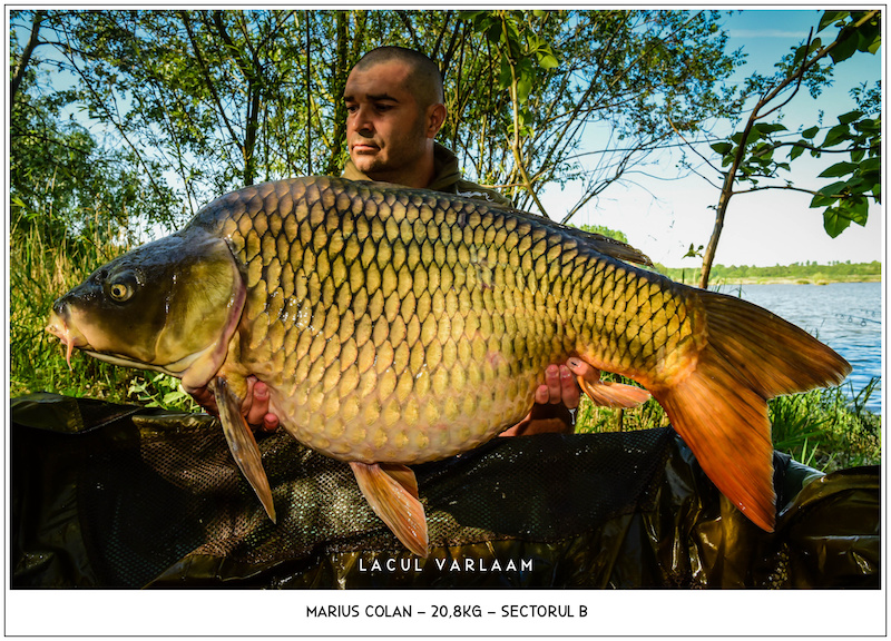 Marius Colan - 20,8kg, Sectorul B.jpg