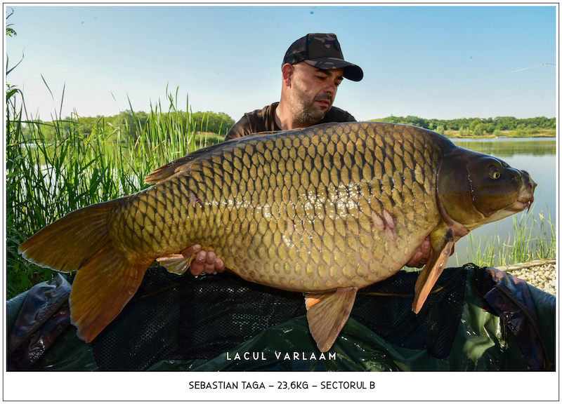 Sebastian Taga - 23,6kg, Sectorul B.jpg