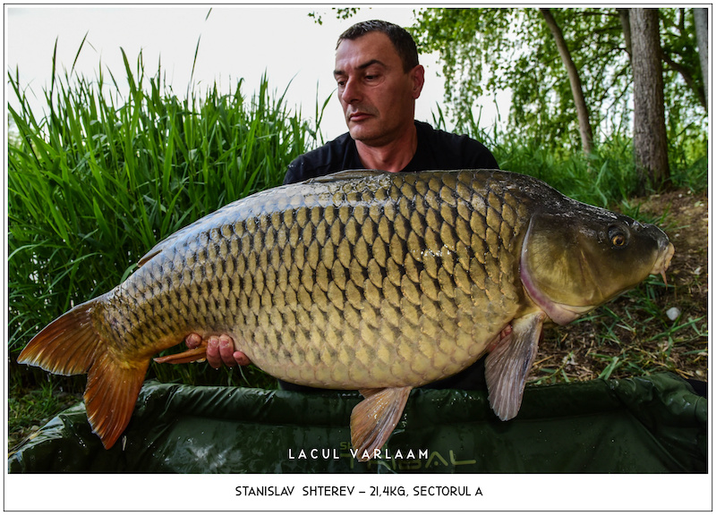 Stanislav  Shterev - 21,4kg, Sectorul A.jpg