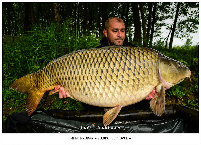 Mihai Prodan - 20,8kg, Sectorul A.jpg