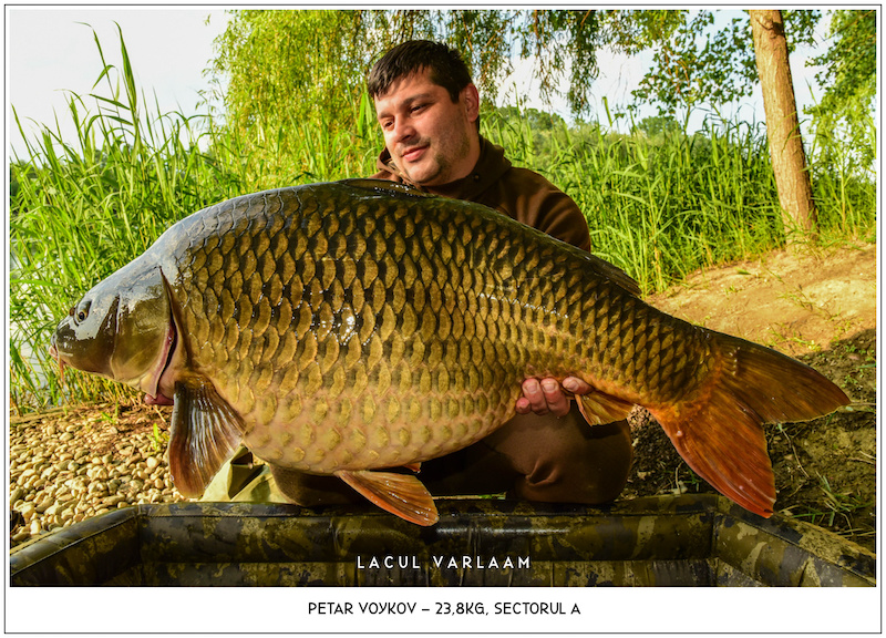 Petar Voykov - 23,8kg, Sectorul A.jpg