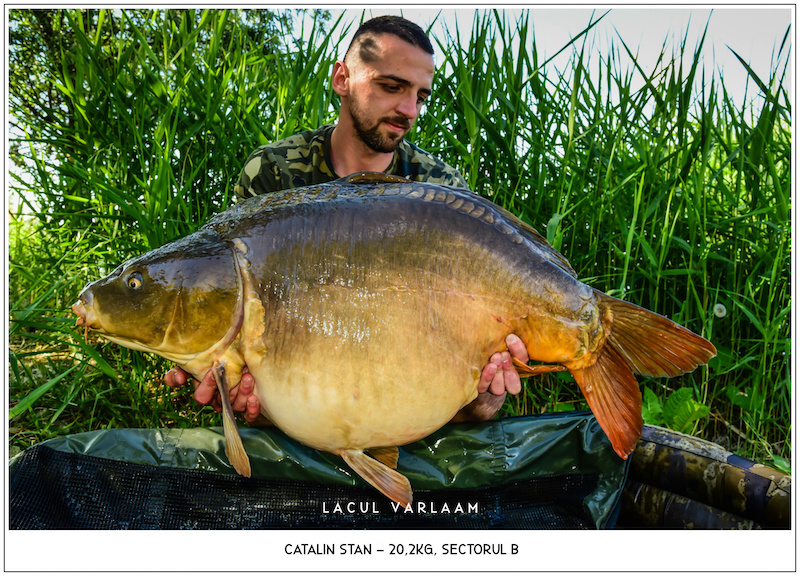 Catalin Stan - 20,2kg, Sectorul B.jpg