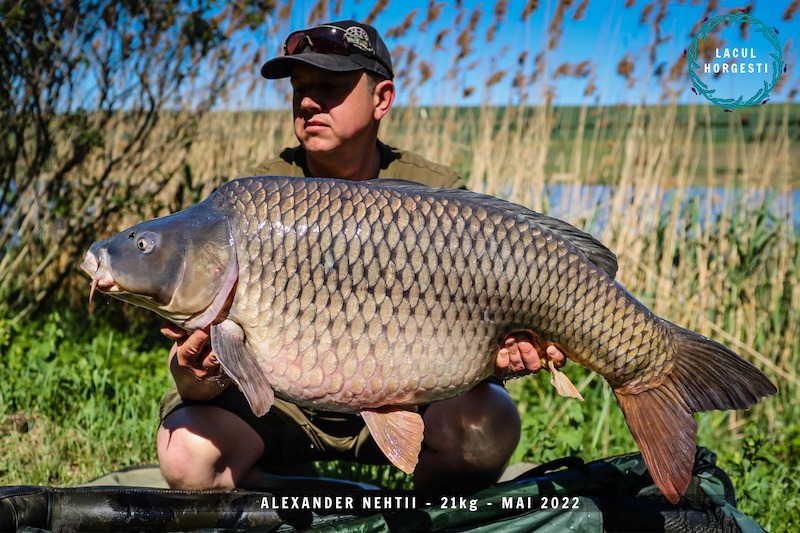 Alexander Nehtii - 21kg.jpg