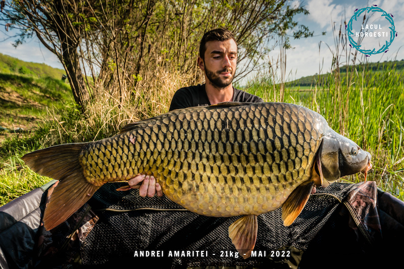 Andrei Amaritei - 21kg.jpg
