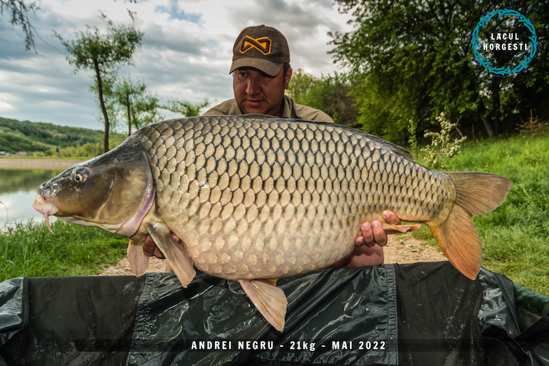 Andrei Negru - 21,1kg.jpg