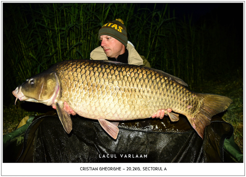 Cristian Gheorghe - 20,2kg, Sectorul A.jpg