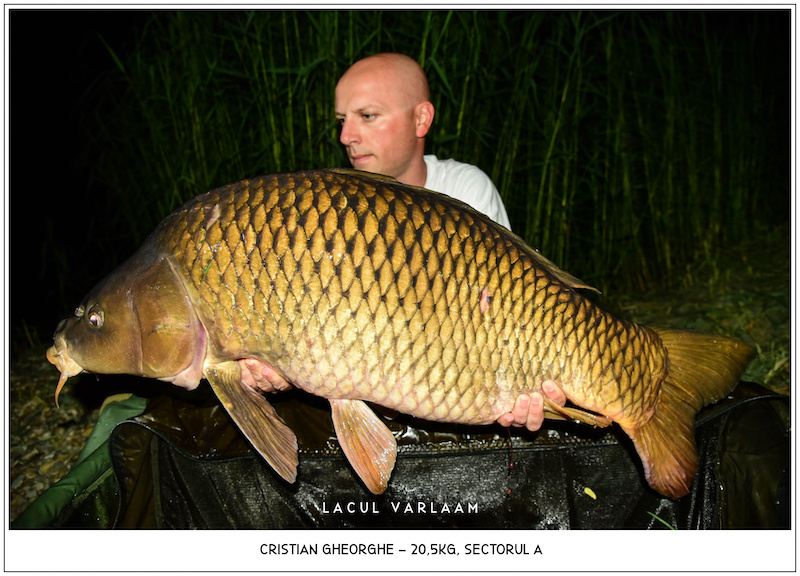 Cristian Gheorghe - 20,5kg, Sectorul A.jpg