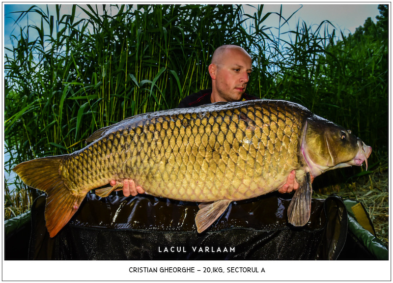 Cristian Gheorghe - 20,1kg, Sectorul A.jpg