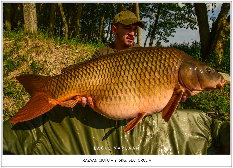 Razvan Ciufu - 21,6kg, Sectorul A.jpg