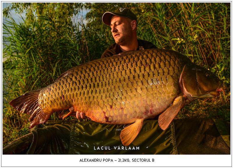 Alexandru Popa - 21,2kg, Sectorul B.jpg