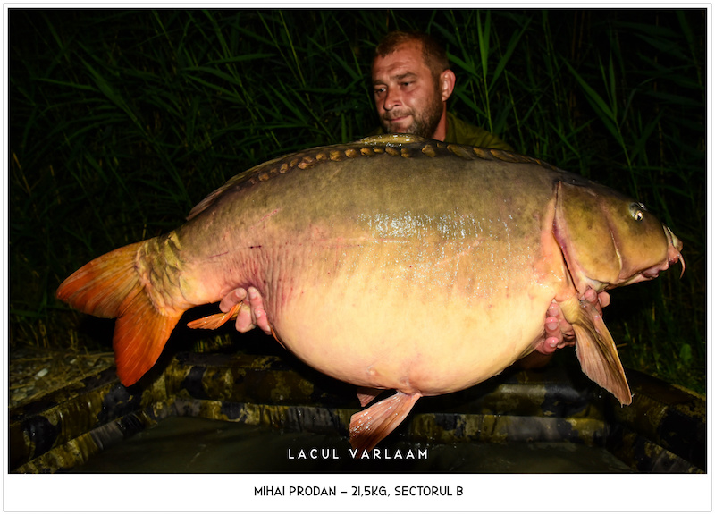 Mihai Prodan - 21,5kg, Sectorul B.jpg