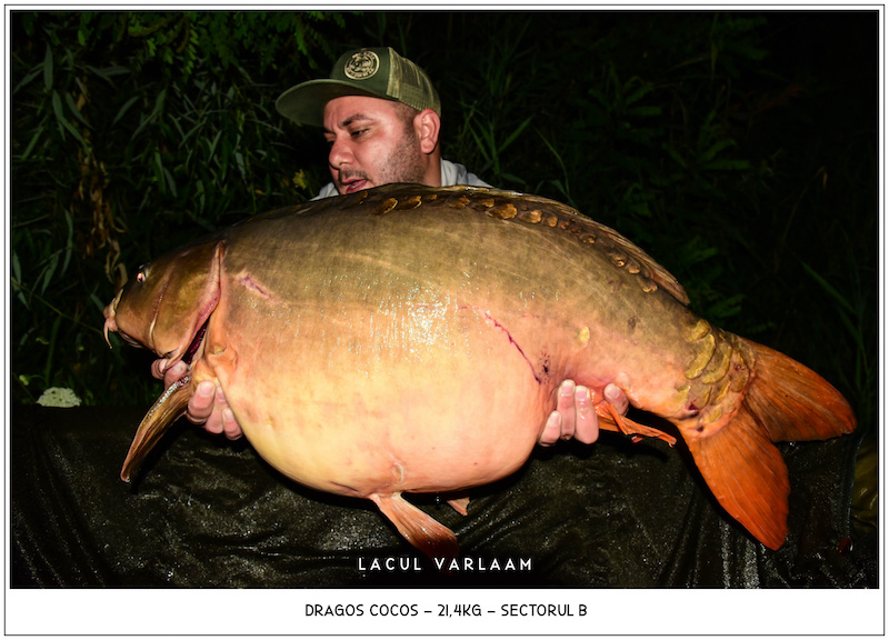 Dragos Cocos - 21,4kg, Sectorul B.jpg