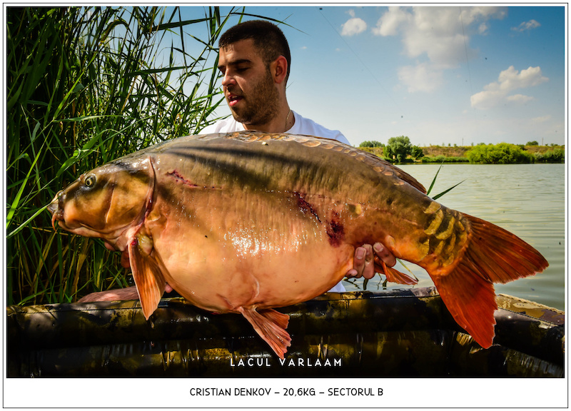 Cristian Denkov - 20,6kg,, Sectorul B.jpg