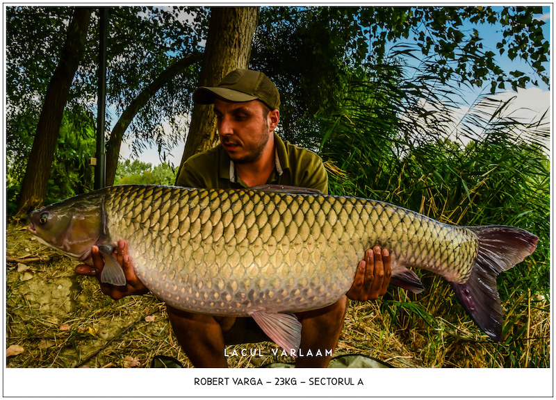 Robert Varga - 23kg, Sectorul A.jpg