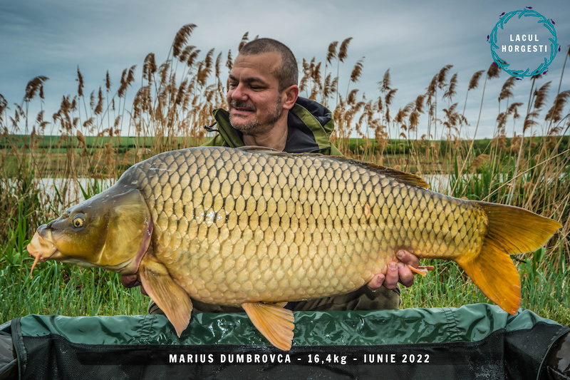 Marius Dumbrovca - 16,4kg.jpg