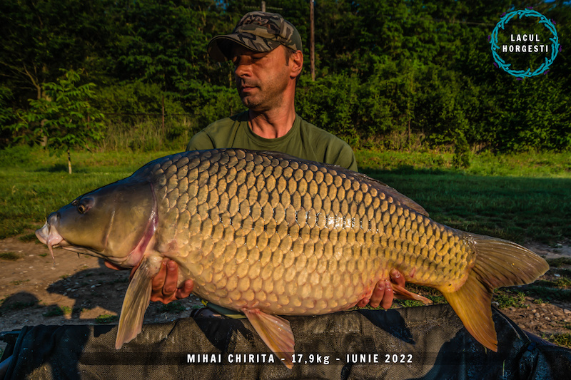 Mihai Chirita  - 17,9 kg.jpg