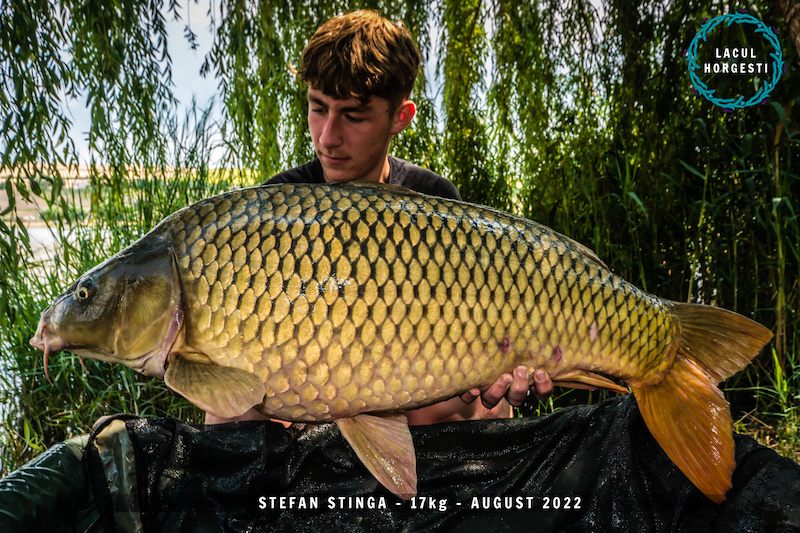 Stefan Stinga - 17kg.jpg