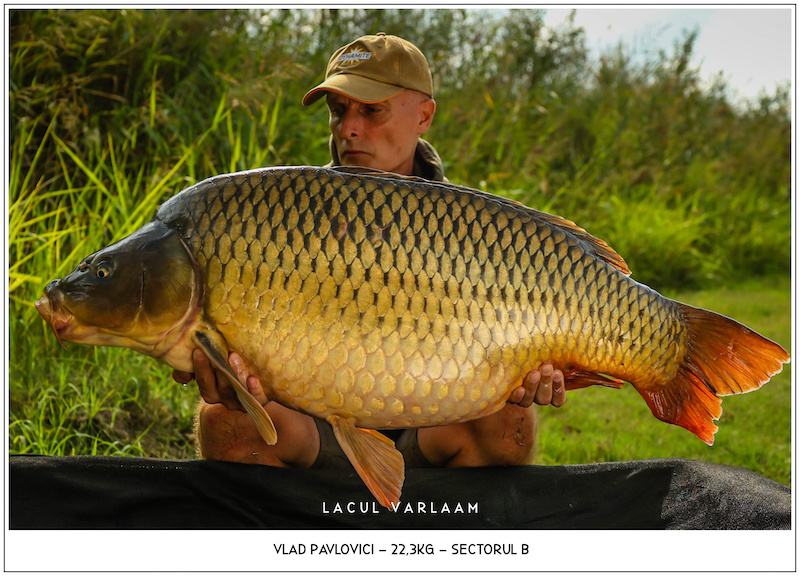 Vlad Pavlovici - 22,3kg, Sectorul B.jpg