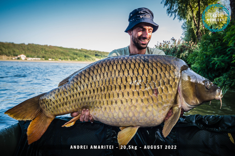 Andrei Amaritei - 20,5kg.jpg