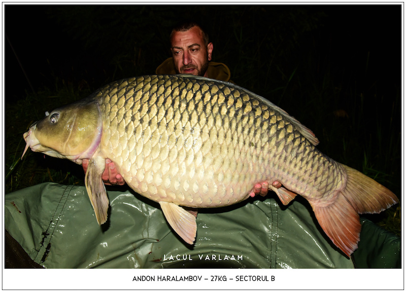 Andon Haralambov - 27kg, Sectorul B.jpg