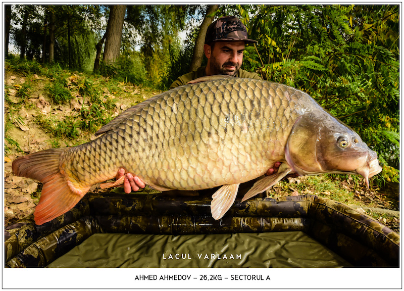 Ahmed Ahmedov - 26,2kg, Sectorul A.jpg